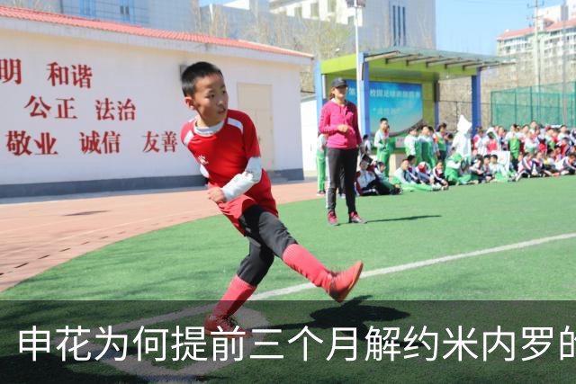 申花为何提前三个月解约米内罗的深层原因
